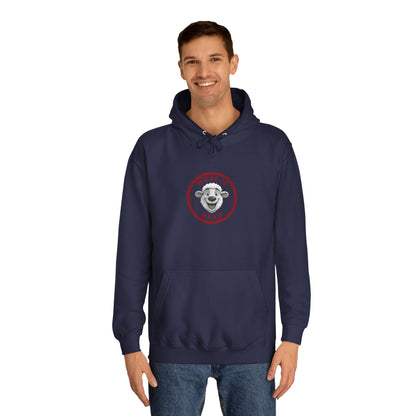 Cozy College Spirit Hoodie - Perfect for Campus Days, Gift for Students, Unisex Sweatshirt, College Apparel, Comfortable Hoodie