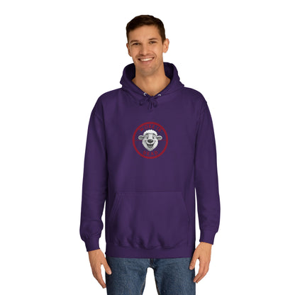 Cozy College Spirit Hoodie - Perfect for Campus Days, Gift for Students, Unisex Sweatshirt, College Apparel, Comfortable Hoodie