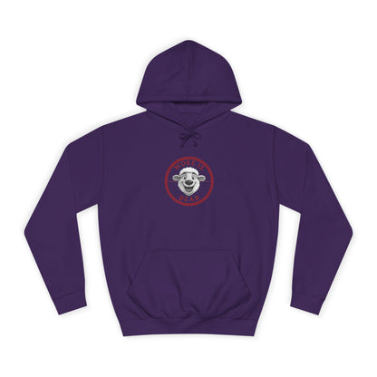 Cozy College Spirit Hoodie - Perfect for Campus Days, Gift for Students, Unisex Sweatshirt, College Apparel, Comfortable Hoodie