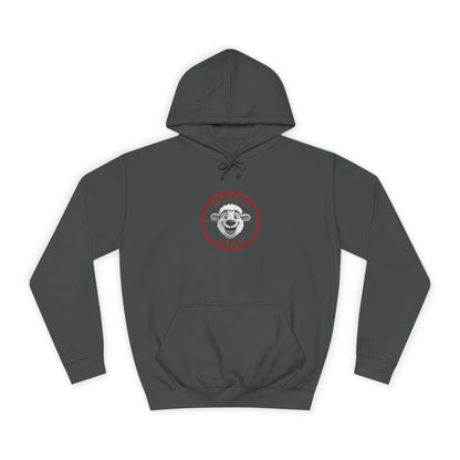 Cozy College Spirit Hoodie - Perfect for Campus Days, Gift for Students, Unisex Sweatshirt, College Apparel, Comfortable Hoodie
