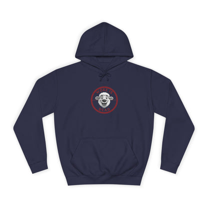 Cozy College Spirit Hoodie - Perfect for Campus Days, Gift for Students, Unisex Sweatshirt, College Apparel, Comfortable Hoodie