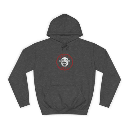 Cozy College Spirit Hoodie - Perfect for Campus Days, Gift for Students, Unisex Sweatshirt, College Apparel, Comfortable Hoodie